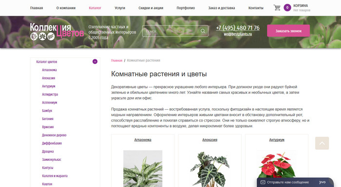 «Коллекция цветов» - Интернет-магазин комнатных растений