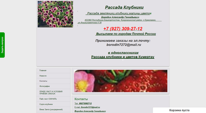 ЛПХ «Клубничный Рай» - Рассада клубники, малины и цветов в Башкортостане