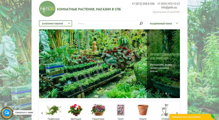 «Pots» - Интернет-магазин комнатных растений