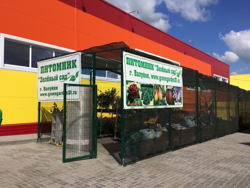 Питомник «Зеленый Сад» в Белгородской области