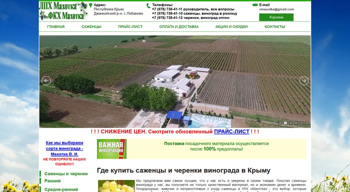 Садовники Интернет Магазин Саженцев Крым
